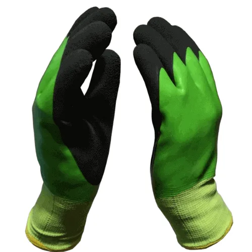 sandy foam latex